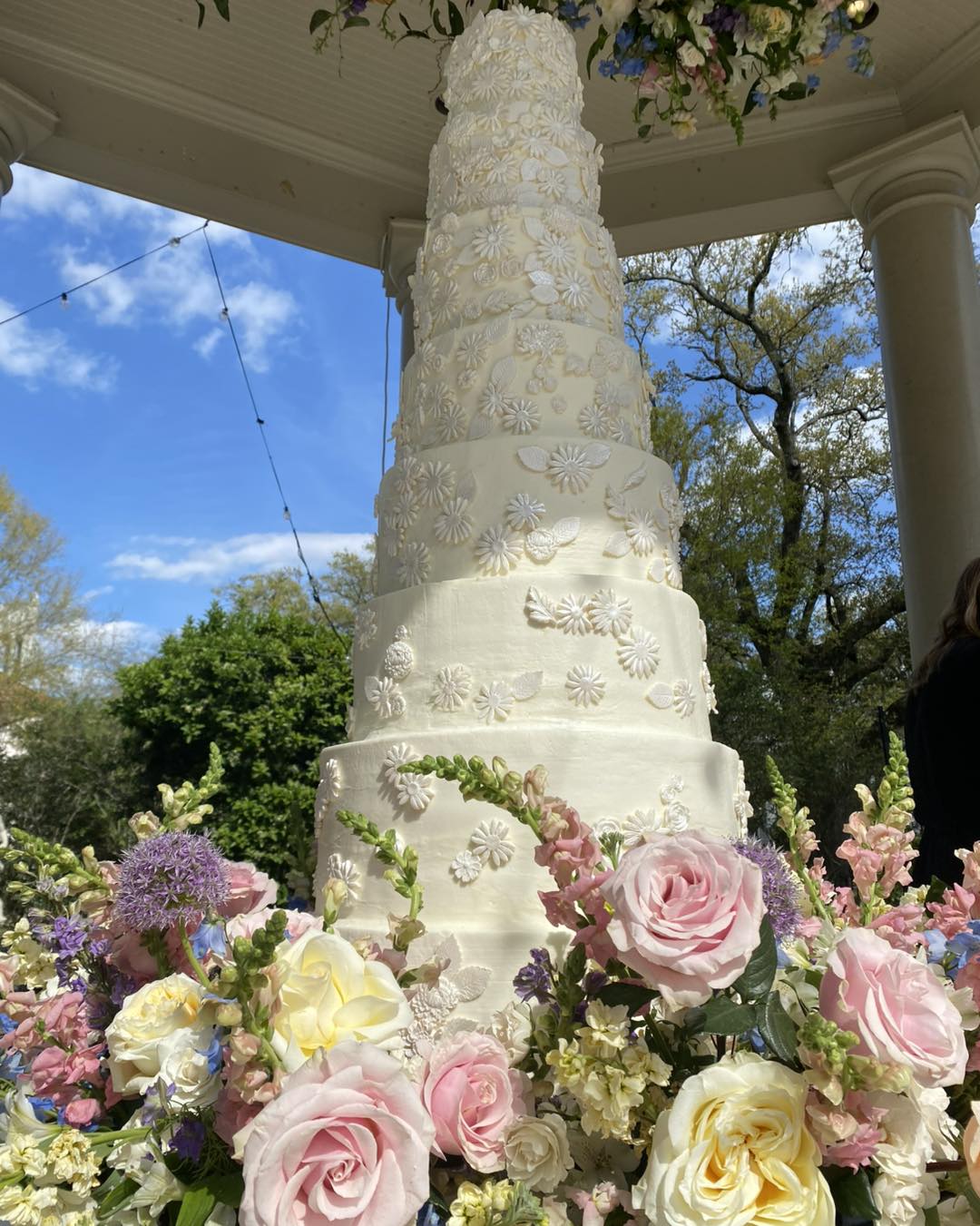 Cake Images 1