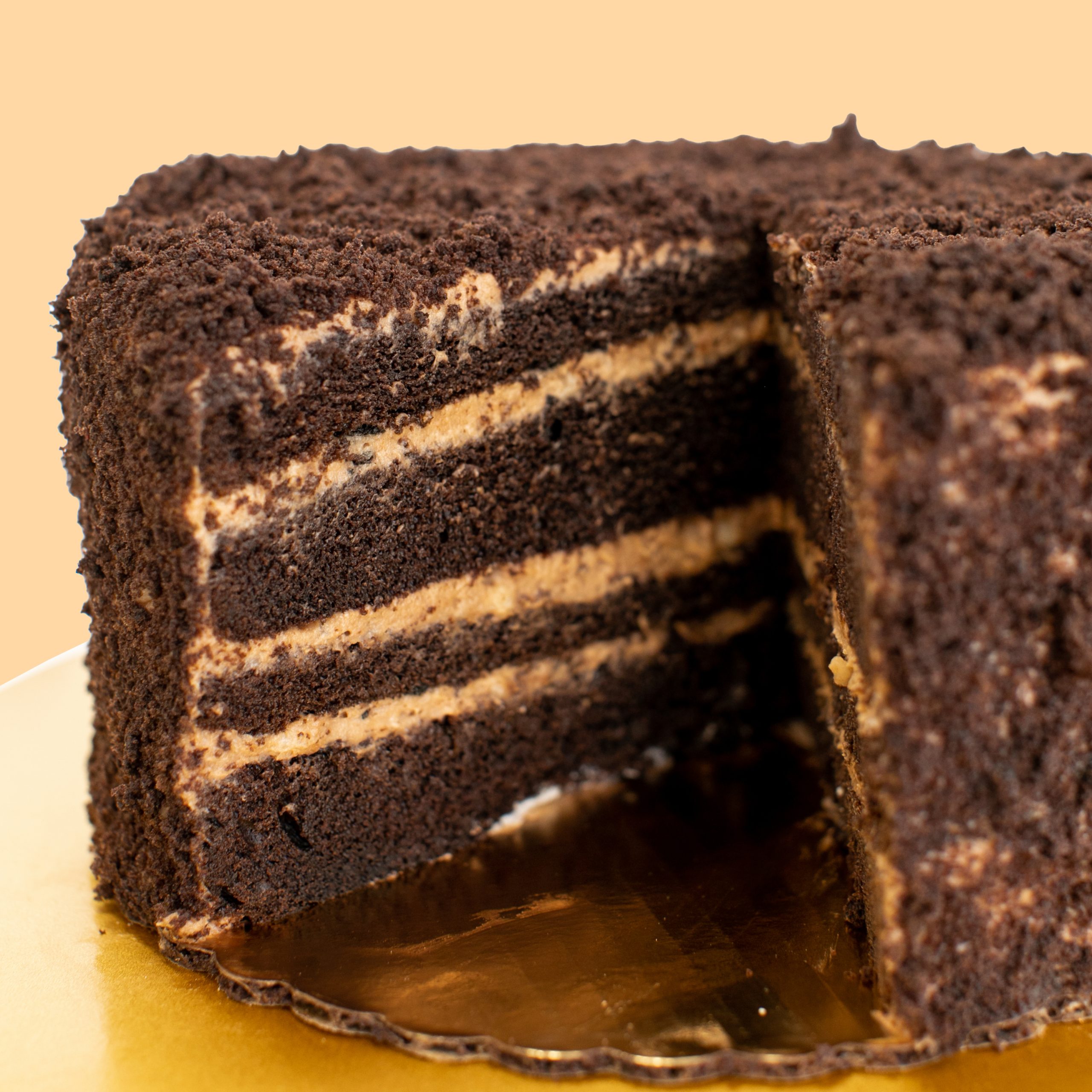 Chocolate Blackout Layer Cake