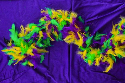 Feather Boa - Mardi Gras
