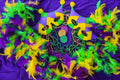 Party Kit (Parade Pack, Boa, Mask)